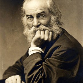 Song of Myself, V by&nbsp;Whitman