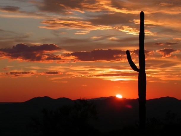 Arizona Sunset.